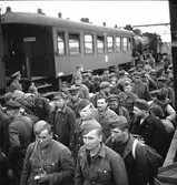 Rysstransport.  Den 14 Juni 1945