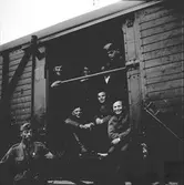 Rysstransport., den 14 Juni 1945.