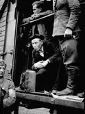 Rysstransport, den 14 Juni 1945.