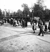 Danska flyktingar. Fotot taget  bl.a för Husmodern i Furuvik
