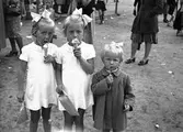 Konsum Alfa. Festen i Folkparken, den 25 Augusti 1943.

