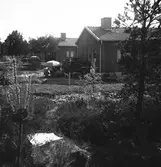 Nybyggen. Juni 1943.

