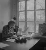 Kristinelunds Angoraspinneri. Den 17 maj 1946



