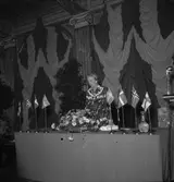 Sveriges Folkskolelärarinnerförbund. Den 3 Juli 1946




