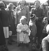 Barn på väg till kolonin i Rörberg. Maj 1944





