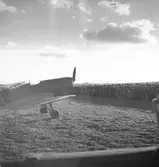 Flygdag vid Avans flygfält i november 1945. Planet är en Klemm 35.