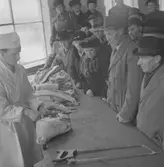 Slakthuset, Valbo. Demonstration. November 1945



