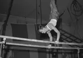 Finska Gymnaster. Reportage för Arbetarbladet. November 1945




