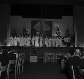 Konsum Alfa. Luciafest. Den 13 December 1945


