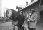 Görel Söderhjelm tillsammans med flicka och två hästar. Tolvfors. Maj 1946