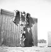 Soldatutbildning för Befälsutbildning. Reportage för Centralförbundet
Maj 1946



