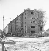 Lindgrens bygge. Maj 1946


