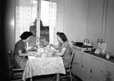 Två kvinnor i köket





