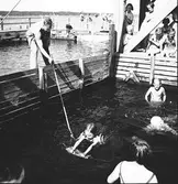 Simkurs vid Korsnäsverken. Juli 1939. Reportage för Arbetarbladet


