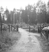 Bilolycka vid Furuvik. Reportage för Arbetarbladet. Juli 1939





