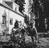 Hakonbolaget,Västerås. Fru Hedfors med barn. Den 12 Augusti 1941




