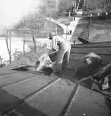 Reportage för Gefle Dagblad. Branden i Forsbacka. Den 1 Juni 1939
