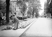 Nygatan under omläggning. Reportage för Gefle Dagblad. Juni 1939

