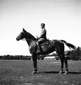 Sundstedt, Juni 1944