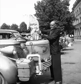 Gävleborgs Socialdemokratiska Partidistrikt. Augusti 1944
