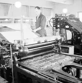 Skrivrit på Alderholmen. Januari 1945

