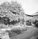 Fru Nilsson. Vandrarhemmet. Juni 1937
