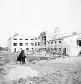 Gefleortens slakteri. Valbo. Augusti 1937





