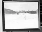 Tavla av Ecke Hedberg
Motiv: Natur.

