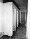 Interiör från en toalett med kakel från Bröderna Dederlöf. Kakelaffär. Den 1 oktober 1941.
