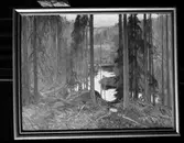 Marin Rådman. Tavla