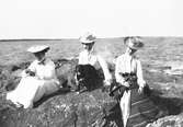 Tre okända damer vid havet. Furuskär, Furuvik
