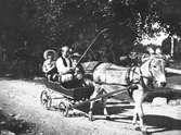 Okända barn åker vagn dragen av en åsna
