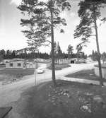 Den 7 juni 1957. Sörby




