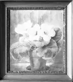 Tavla - Gloxinia. Tavla av Mattias Grundell