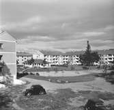 År 1957. Brynäs.




