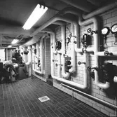 Den 21 januari 1957. Bilder för bok.





