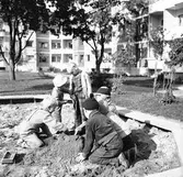 Bostadsområdets lekplats.





