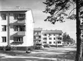 År 1956. Bostadshus






