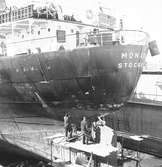 Den 14 mars 1962. Gävle Varv. Fartyget M/S Monarda, Stockholm i docka.


