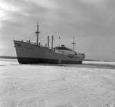 Den 27 januari 1954. Gävle Varv. Båten M/S Lombardia.


