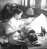 Den 25 september 1951. Durotapet.




