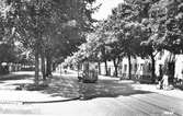 Den 25 april 1951. Spårvagn på Brynäsgatan, vid Stenebergsparken