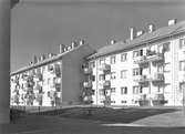 År 1950. Väpnargatan. Brynäs.
