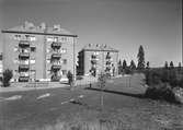 År 1950. Punkthus. Brynäs.
