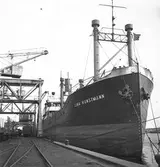 Hamn. Fartyg M/S Lina Kunstmann