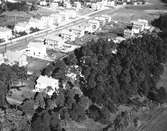 Flygbild över villaområde. År 1940.




