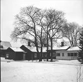 Mjölkdroppen. Stenebergsgården.
