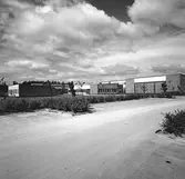 Den 19 augusti 1964. Centralskolan / Sofiedalsskolan. Södra Valbo.