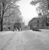 Vinterbild. Slottet.
