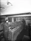 Interiör från fabriken, den 29 mars 1954

